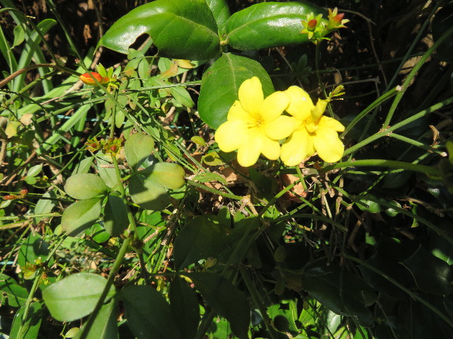 ファイル 6971-2.jpg