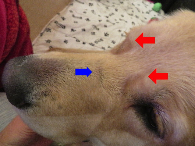 ファイル 6972-3.jpg