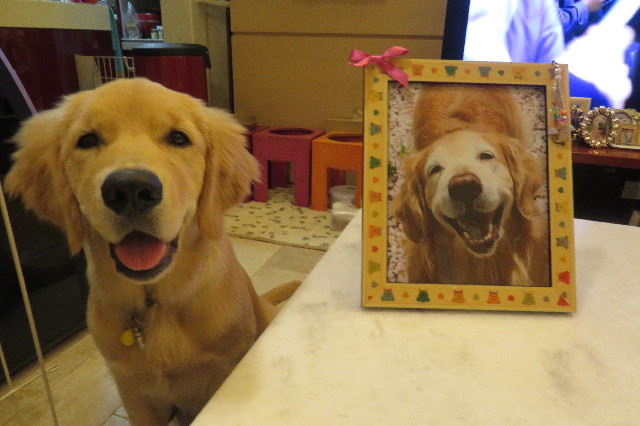 ファイル 6972-4.jpg