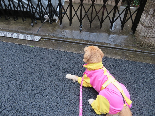 ファイル 6974-3.jpg