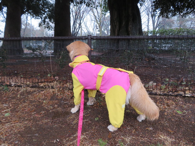 ファイル 6974-5.jpg