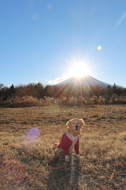 ファイル 6975-4.jpg