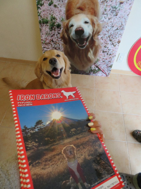 ファイル 6976-2.jpg