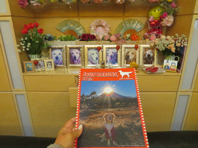 ファイル 6976-3.jpg