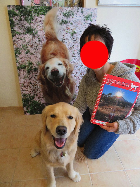 ファイル 6976-5.jpg