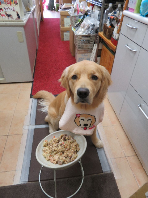 ファイル 6977-5.jpg