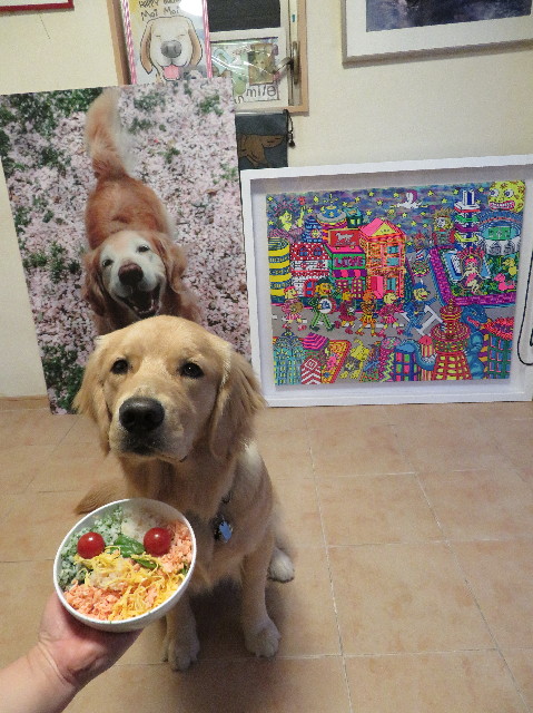 ファイル 6978-5.jpg