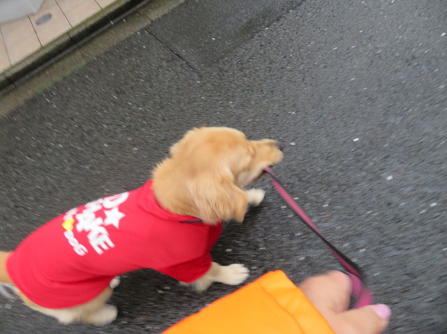 ファイル 6980-1.jpg