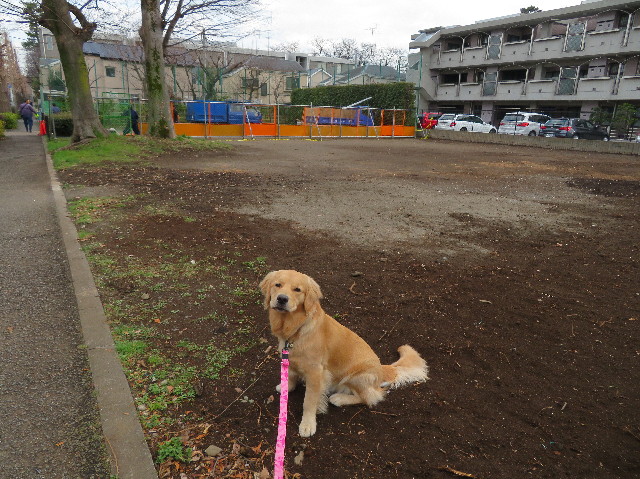 ファイル 6981-1.jpg