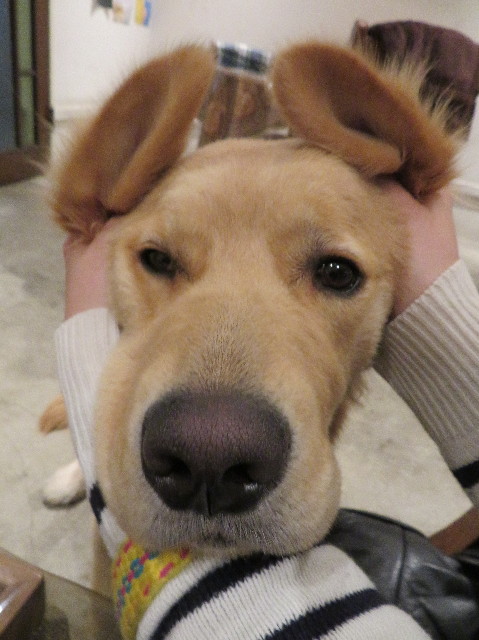 ファイル 6981-3.jpg