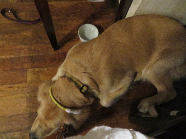 ファイル 6982-4.jpg