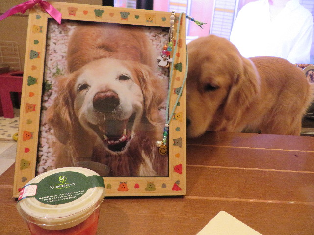 ファイル 6983-3.jpg