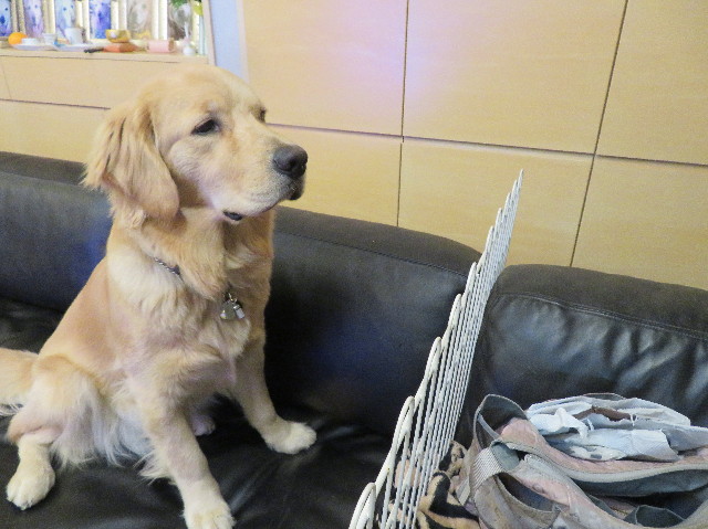 ファイル 6983-5.jpg