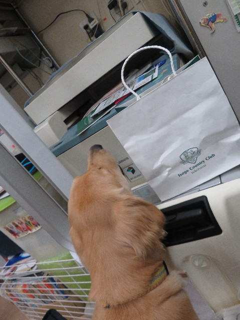 ファイル 6984-5.jpg