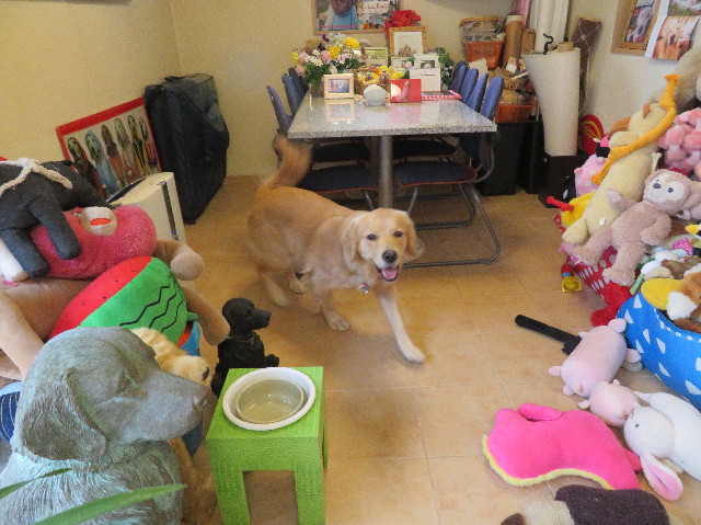 ファイル 6985-1.jpg