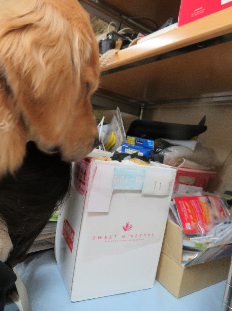 ファイル 6985-3.jpg