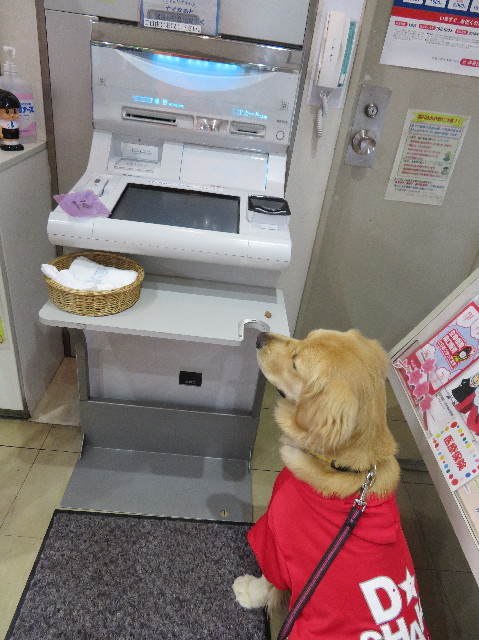 ファイル 6985-5.jpg