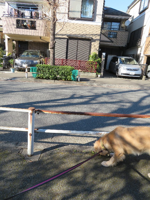 ファイル 6986-2.jpg