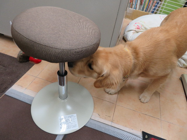 ファイル 6986-5.jpg