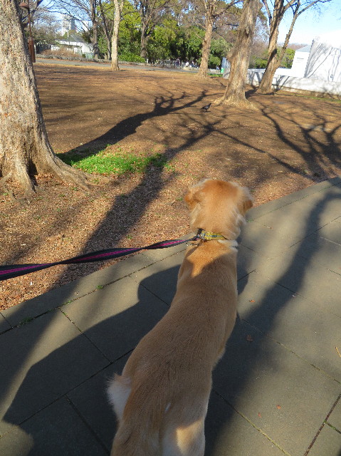 ファイル 6987-2.jpg