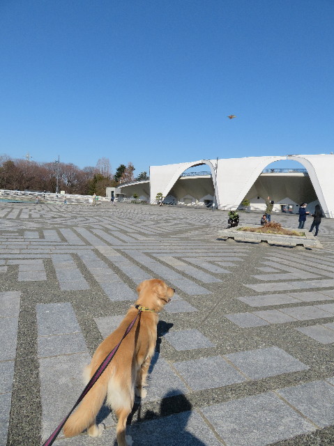 ファイル 6987-3.jpg