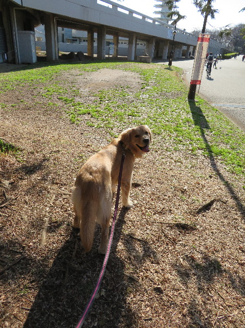 ファイル 6987-4.jpg