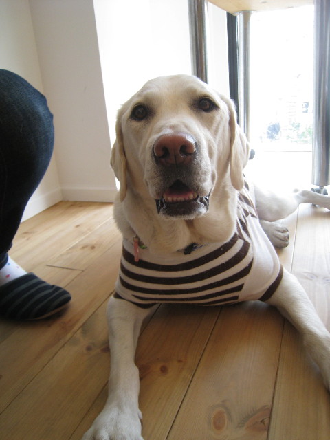 ファイル 699-5.jpg