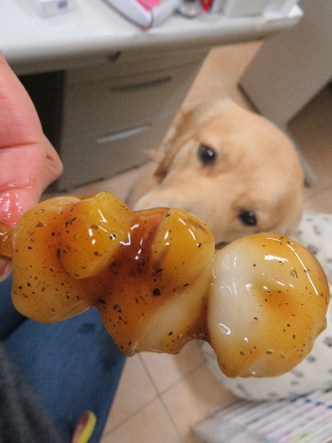 ファイル 6990-5.jpg