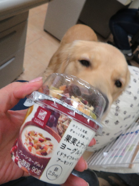 ファイル 6991-1.jpg