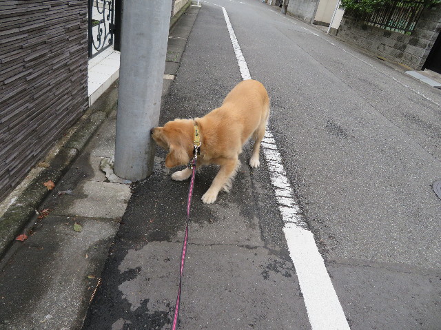 ファイル 6991-3.jpg