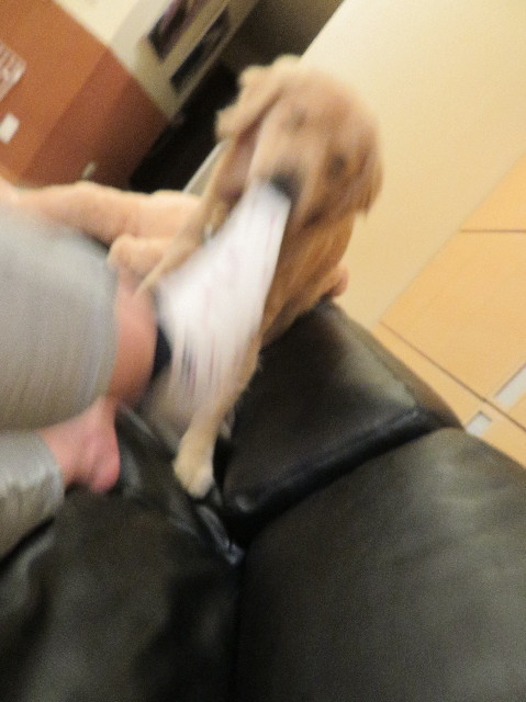 ファイル 6994-2.jpg