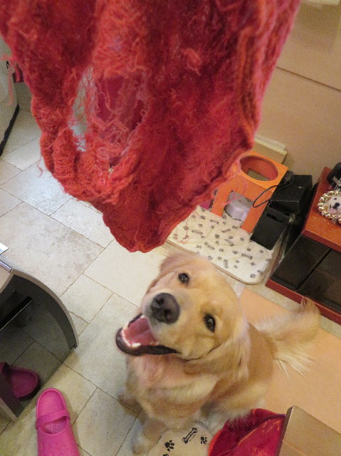 ファイル 6994-4.jpg