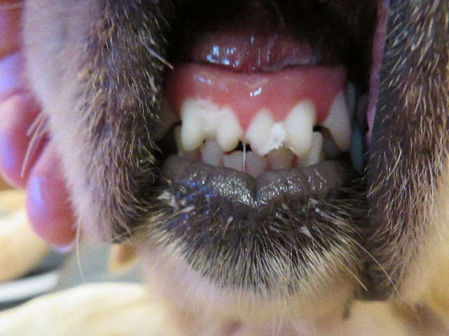 ファイル 6994-5.jpg