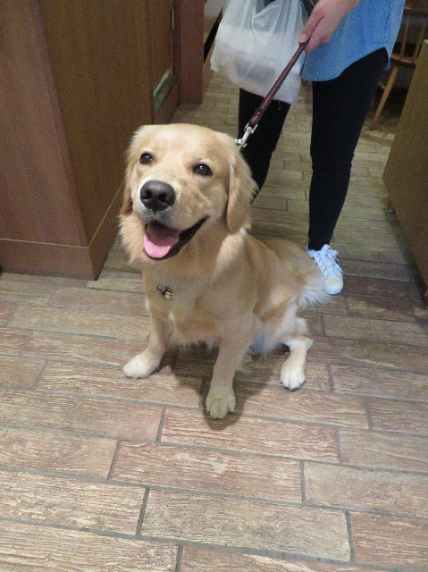 ファイル 6995-1.jpg