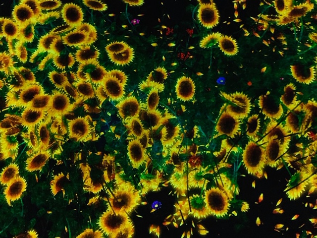 ファイル 6996-1.jpg