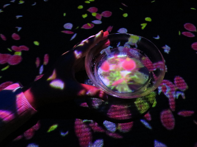 ファイル 6998-1.jpg