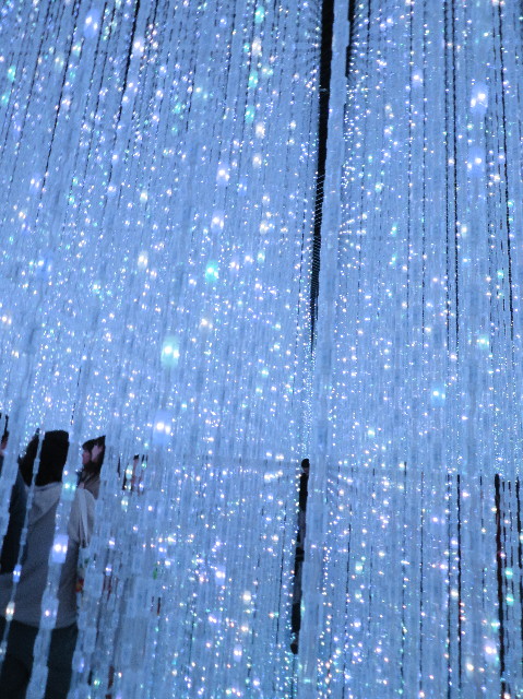 ファイル 6998-5.jpg