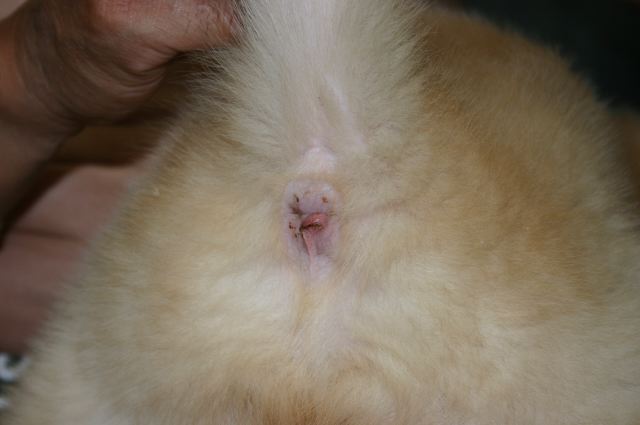 ファイル 7-1.jpg