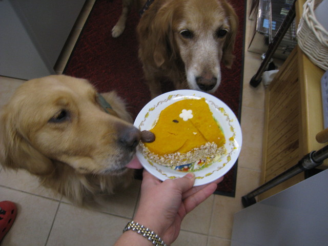 ファイル 700-3.jpg