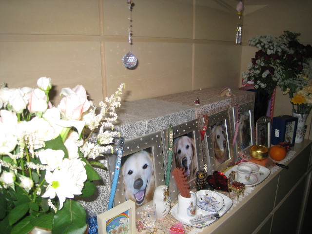 ファイル 700-5.jpg