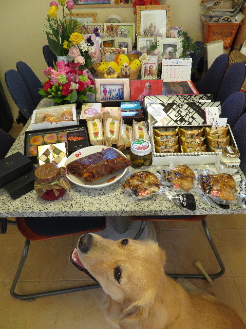 ファイル 7000-2.jpg