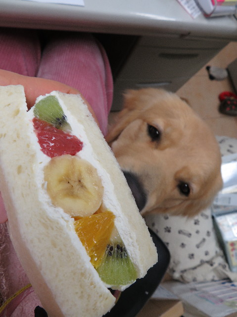 ファイル 7000-3.jpg