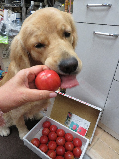 ファイル 7000-4.jpg