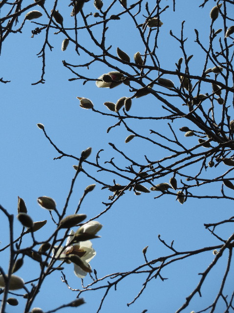 ファイル 7000-5.jpg