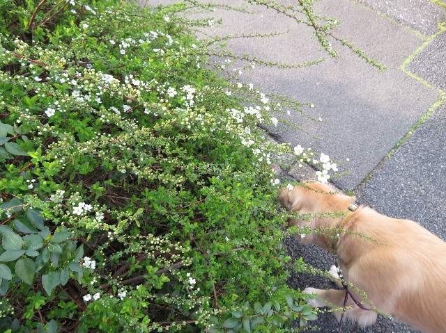 ファイル 7001-2.jpg