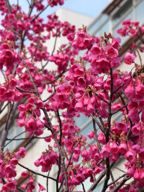 ファイル 7001-4.jpg