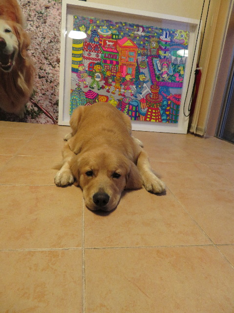 ファイル 7004-4.jpg