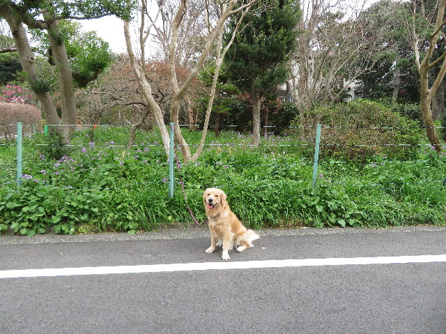 ファイル 7004-5.jpg