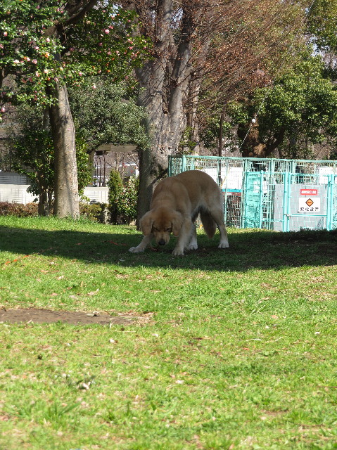 ファイル 7005-2.jpg