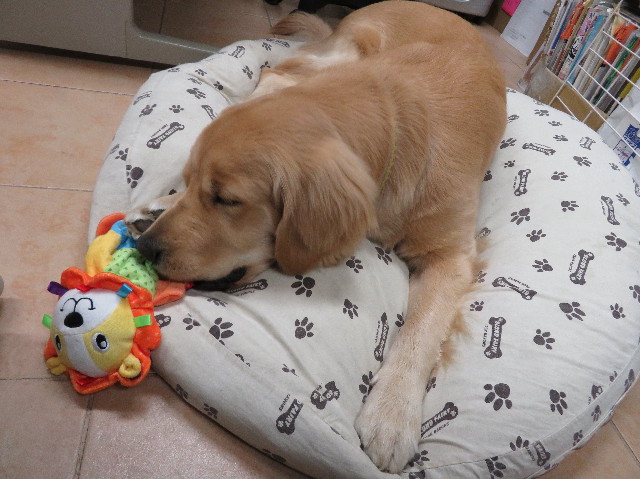 ファイル 7006-2.jpg